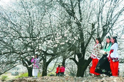 金丝猴jsh99cc 品牌主视觉